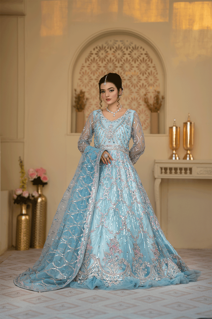 MEHFIL S-5 Rang-e-Bahaar Collection Blue Dress - Sillhouete
