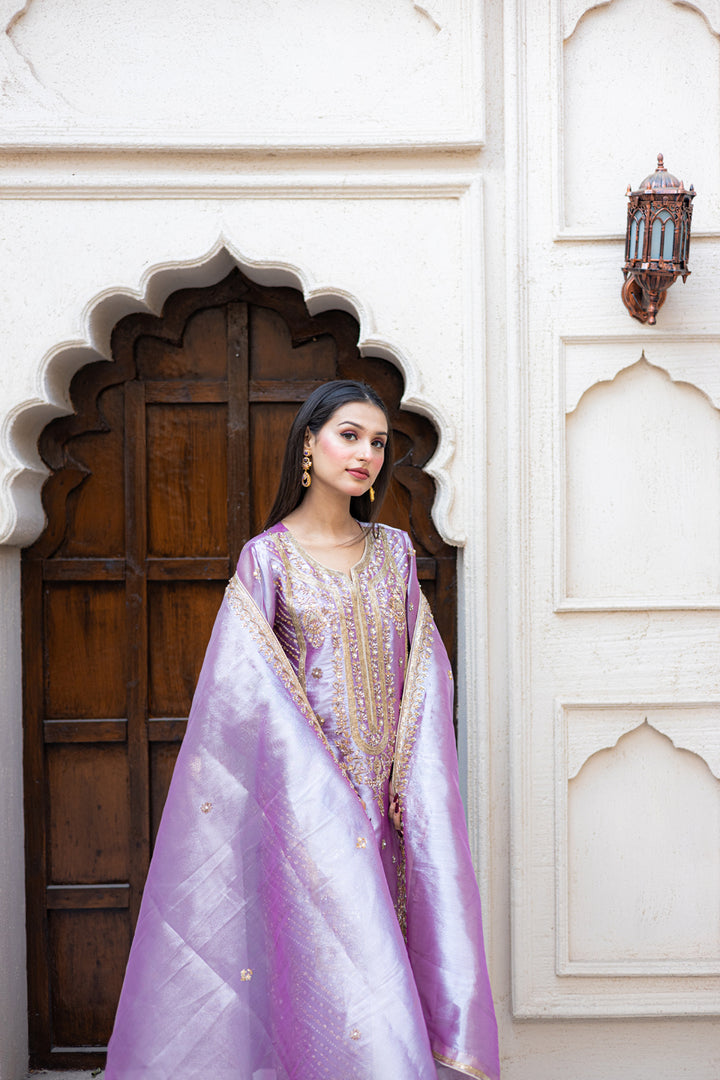 HEER SHPT-1 Riwaj Collection Light Purple Dress - Sillhouete