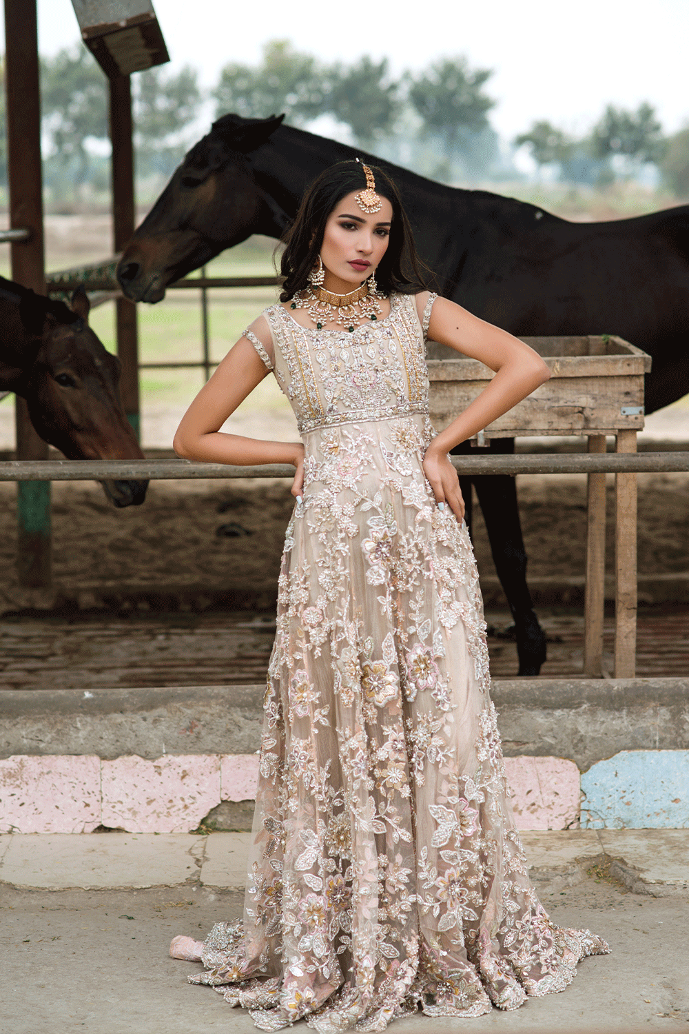 online Pakistani gown dresses for bride in USA